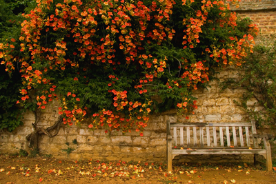 关于秋天的诗句：这20首最唯美-第2张图片
